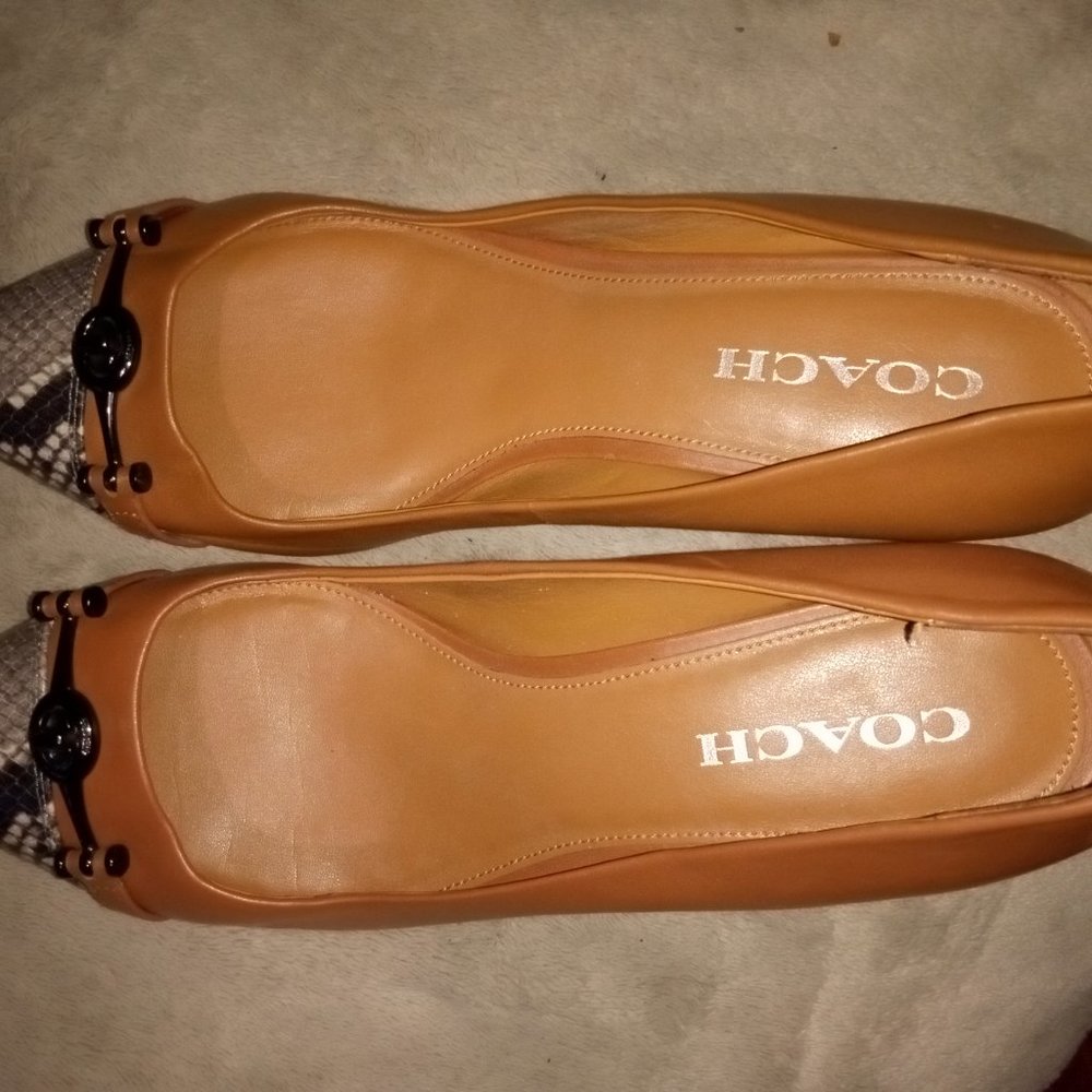 Coach shoes